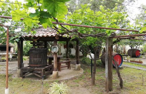 Verde & Mare - Photo 63