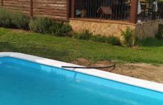 La CABAÑA - Foto 25