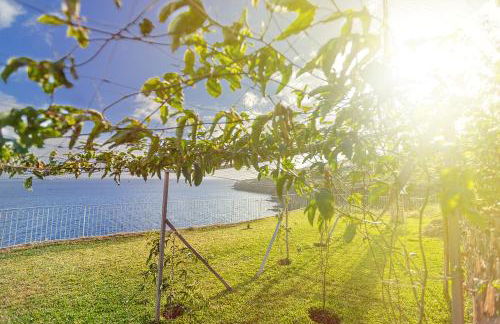 Fazendinha by Real Vision - Foto 61