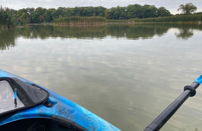 Brand New Basement Apt next to Beach & Go Train - Foto 29