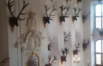 Apartment Ferienwohznung Huhle by Interhome - Foto 23