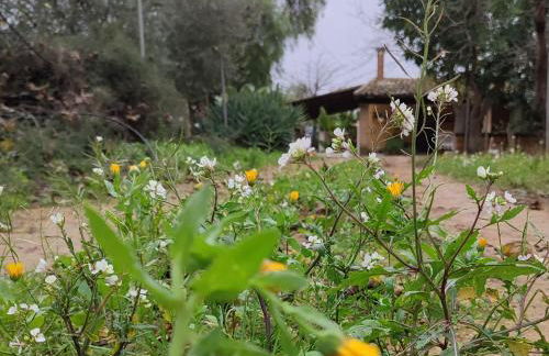 Dimora Virone Paradiso - Foto 40