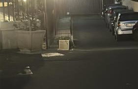 The Cannizzaro Home - Foto 22