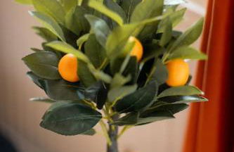 Cozy Studio in Central London - Foto 24