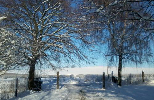 Forsthof Niendorf - Foto 72