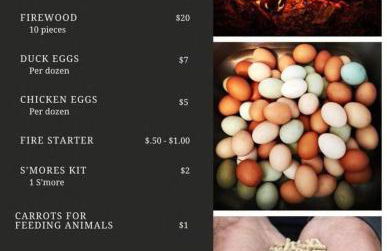 Stunning 1-bed Glamping Tent in Cleveland - Foto 34