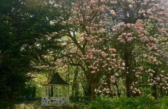 Appartment Villa am Bretschneiderpark - Photo 23