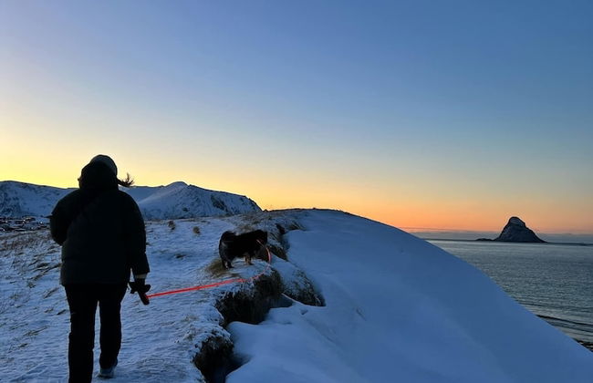 Bleik Sea Cabins - Foto 20