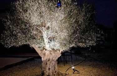 Villa Belle - Foto 5