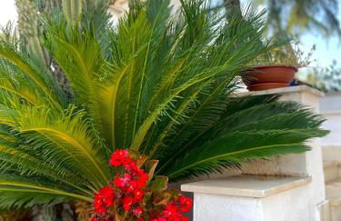 Serè Apartments & Garden - Foto 3