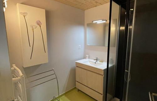 Bel appartement duplex proche des pistes avec balcon et parking - FR-1-787-16 - Foto 3