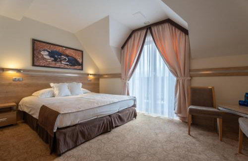 Hotel & SPA Czarny Groń - Foto 10