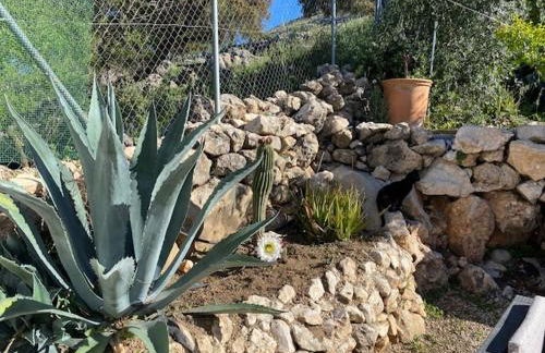 Maison Andalouse avec piscine - Foto 24