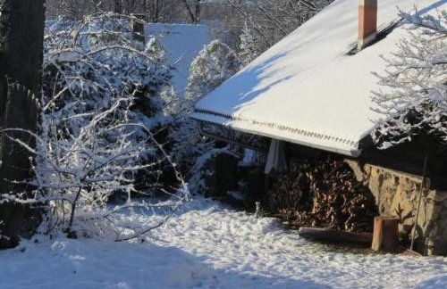 Holiday Home Blockhaus in Gajówka mit Kaminofen by Interhome - Foto 15