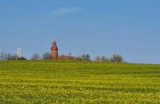 Ferienwohnung im Leuchtturmort Bastorf - Photo 5