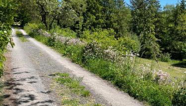 Urlaub mit der ganzen Familie im Ferienhaus in der Natur - Foto 3
