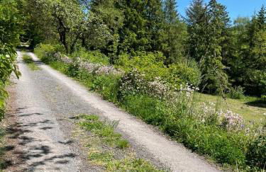 Urlaub mit der ganzen Familie im Ferienhaus in der Natur - Foto 3