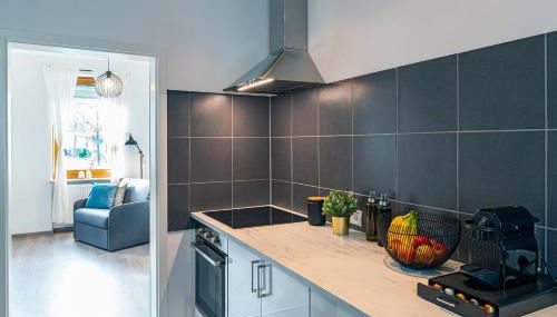 Deluxe Studio, PS4, Parken, Netflix, Klinikum - Foto 5, stove, pet friendly