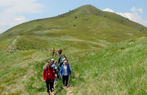 Bieszczadzka Chatka Gosia - Off Road , Quady , Jazda Konna - Foto 43