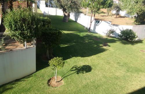 Encosta S. José -Vale Parra - Foto 17