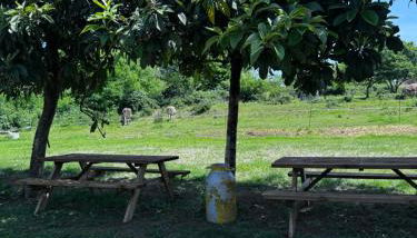 Agriturismo La Betulla - Foto 5