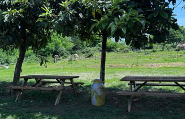 Agriturismo La Betulla - Photo 5