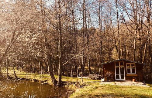 Fischerhaus - Foto 18