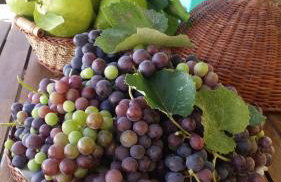 Stefania houses - Foto 54