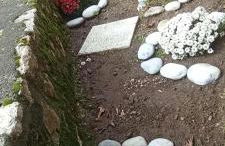 Ορεινος Παραδεισος - Photo 61