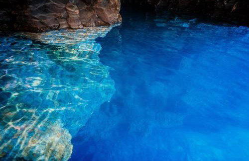 Apartmenthaus Punta **** - Photo 79