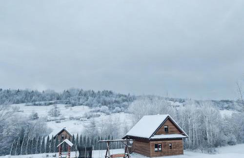 Bieszczady Żubrowe Wzgórze 785-049-543 - Foto 76