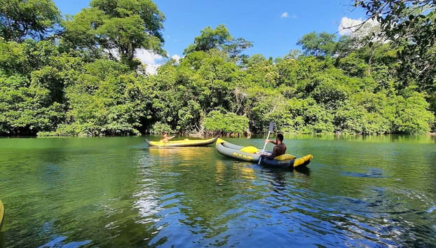 Kayaks on the waters