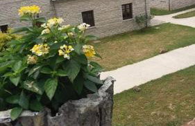 Althea Guesthouse - Foto 21