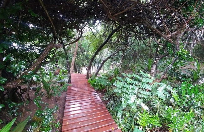 Campismo Ninho 23 - Photo 17