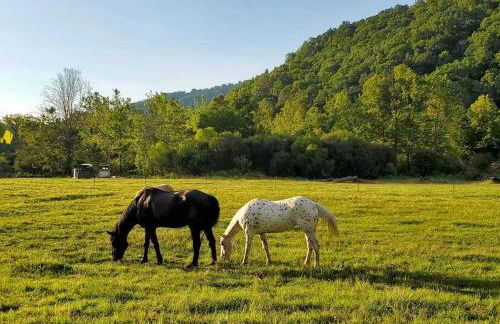 Country Mountain Escape! - Foto 25