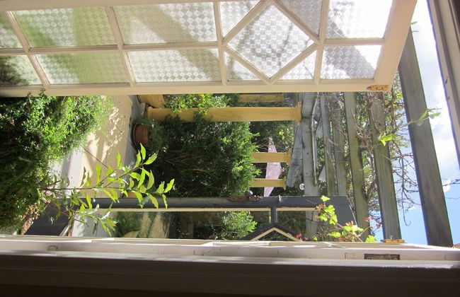 Le Petit Palais Villas - Photo 24