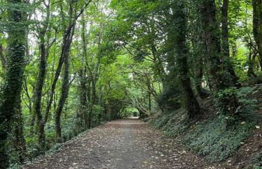 Bells Cottage - Explore Cornwall by rail - Foto 39