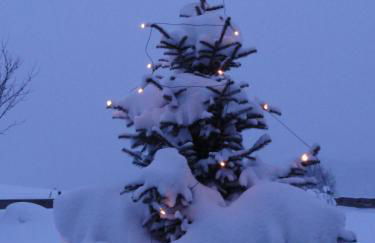 Landhaus Brigitte - Photo 43