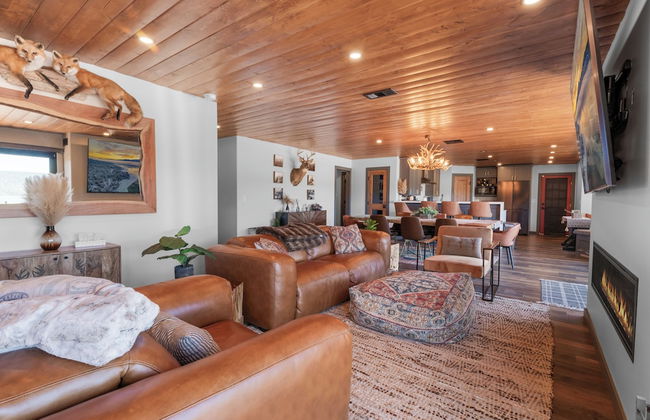 The Lazy Bear - Foto 11