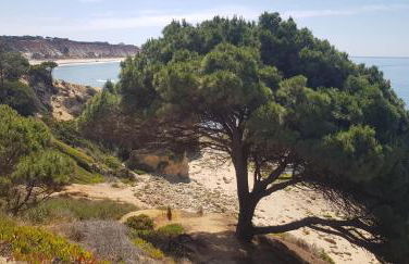 Casa da Praia - Foto 46