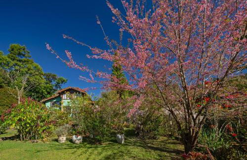 Chalé Flores e Amores - Photo 8