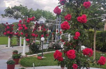 Villa Artzie. Έξοχικο με τεράστιο εξωτερικό χώρο. - Foto 25