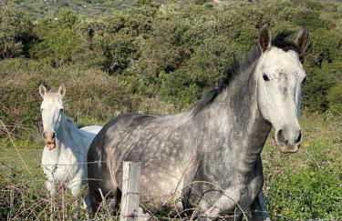 Superbe appartement neuf de haut standing - Foto 35