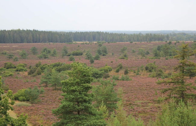 4 Person Holiday Home in Hovborg-by Traum - Foto 24