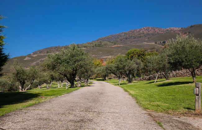 Finca La Sayuela - Foto 29