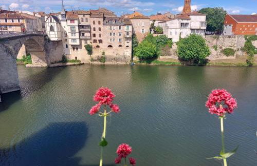 Appartement vue Lot dans Bastide - Foto 16