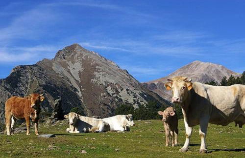 Bungalow en parc natural del Ter 2000 metres - Foto 30