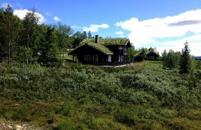 Kvitebjørn Cabin - Ål - Foto 15