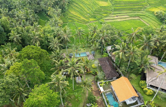 Green Sari Private Villa - Foto 44