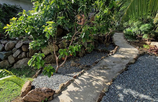 MyALL Tortola - Foto 37